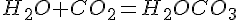 H_2O + CO_2 = H_2OCO_3 H_2O + CO_2 = H_2OCO_3